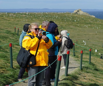 Punta Arenas: Magdalena Island – Penguins & Lighthouse Walk