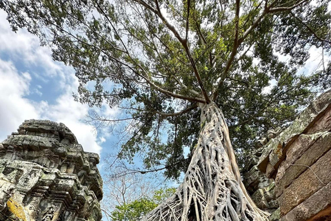 Phnom Penh: Fly-In Angkor Wat Tour & Flex-Airport Transfers⁠ Option 1: Angkor Temples w/ Hotel Pickup & Airport Drop-off