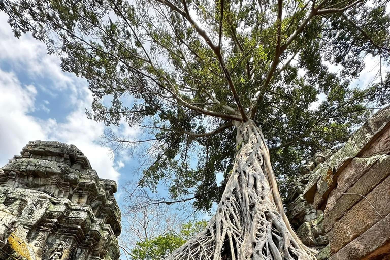 Phnom Penh: Fly-In Angkor Wat Tour & Flex-Airport Transfers⁠ Option 1: Angkor Temples w/ Hotel Pickup & Airport Drop-off