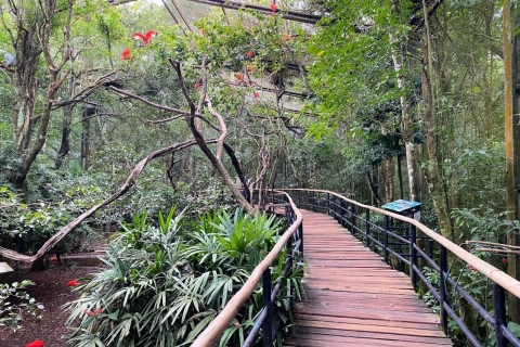 Brazylijskie wodospady, park ptaków i zapora Itaipu