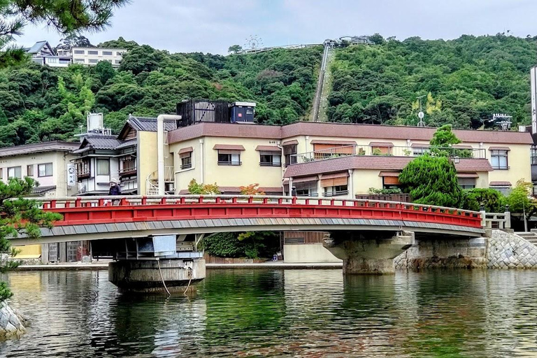 Osaka/Kyoto: Amanohashidate & Ine Funaya & Ine Bay Day Tour Excludes Cable Car & Cruise: 8:00AM Osaka