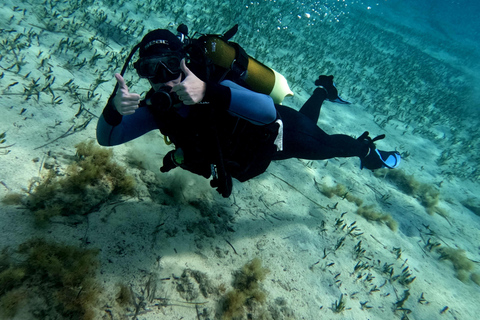 Paphos: Entdecken Sie das Tauchen mit Abholung