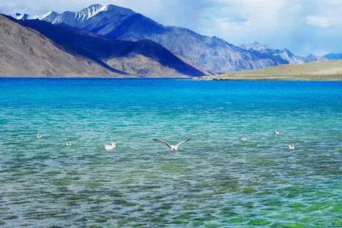 Overnight Pangong Tour From Leh With Thiksey & Shey Palace