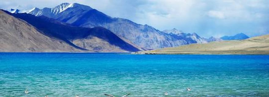 Excursion de nuit à Pangong depuis Leh avec Thiksey et le palais de Shey