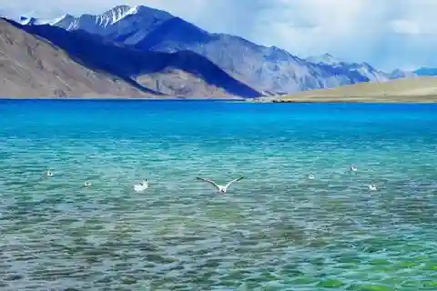 Overnight Pangong Tour From Leh With Thiksey & Shey Palace