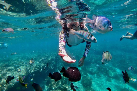 Zanzibar: Blue Lagoon Snorkeling, Starfish Beach & The Rock TOUR WITH HOTEL TRANSFER
