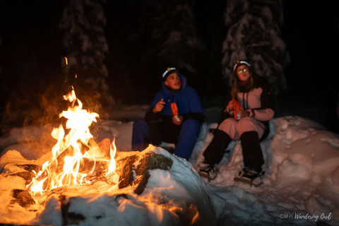 LEVI Adults Only Northern Lights Hunt (ALL INCLUDED) Adults Only Aurora Hunt in the Finnish wilderness