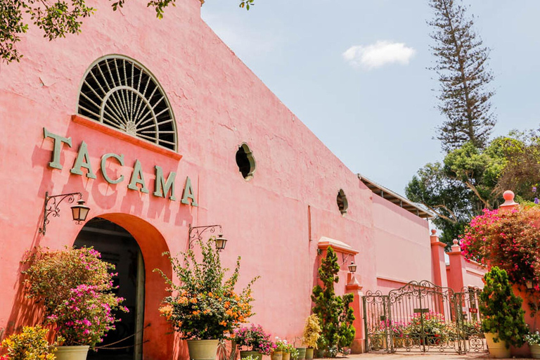 Ica: Winery Tour with Pisco and Wine Tasting