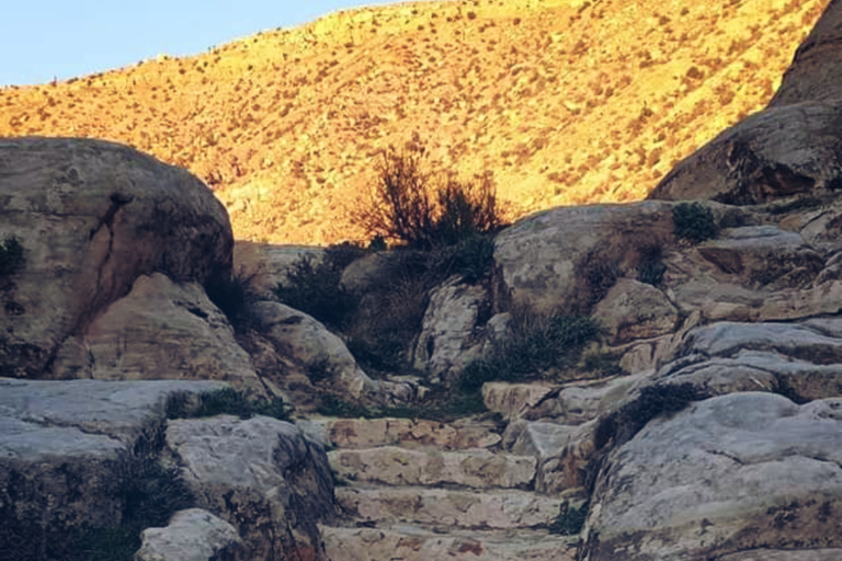 Transfer aeroportuale Queen Alia International