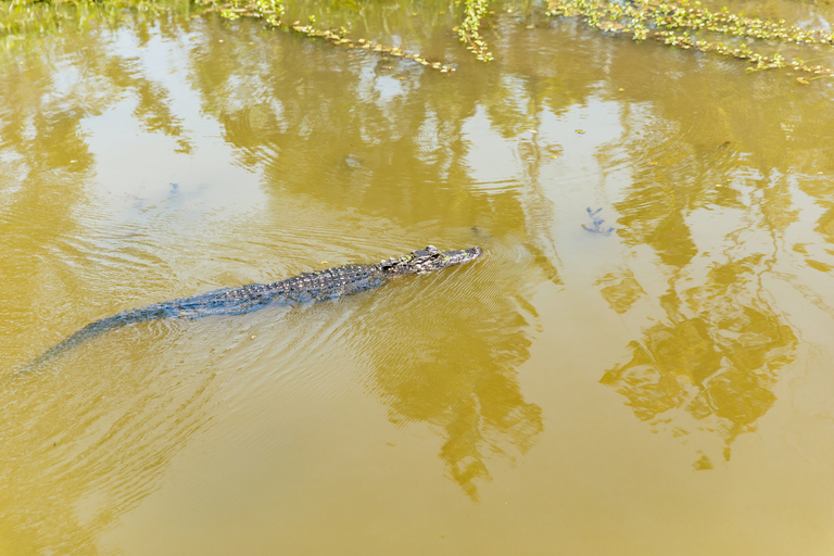 Nowy Orlean: Wycieczka po zatoce w Parku Narodowym Jean LafitteNowy Orlean: Bayou Tour w Parku Narodowym Jean Lafitte