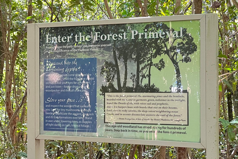 Guided Primeval Nature Walk Tour