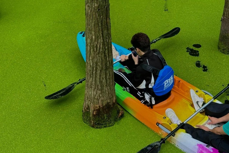 Hangzhou Qingshan Lake Water‑Forest Private Day Tour Ticket + Deer‑Feeding | Separate Driver & Guide