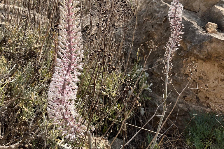 Malta, Il-Majjistral Nature Park: Hiking and Outdoor Yoga