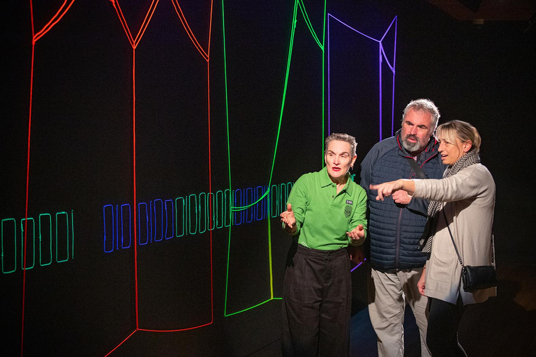 Wellington: Museum of New Zealand Art Narratives Tour