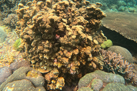 Nusa Penida: Snorkeling 3 Spots with GoPro & West Land Tour Snorkeling 3 Spots with West Land Tour - Meet at Penida Port