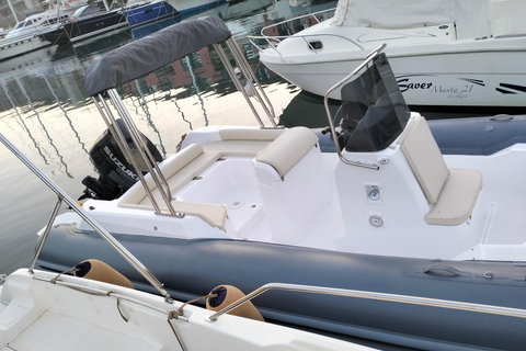 Baignade avec les cétacés Visite privée en bateau Genova Portofino