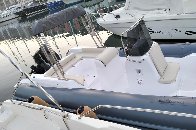 Baignade avec les cétacés Visite privée en bateau Genova Portofino