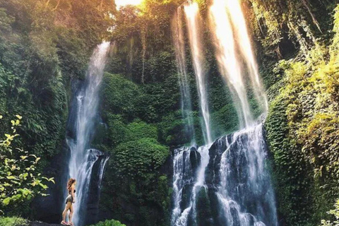 Bali: Lovina Dolphin Watching, Sekumpul Waterfall & Lunch Lovina Dolphin Watching, Sekumpul Waterfall & Lunch