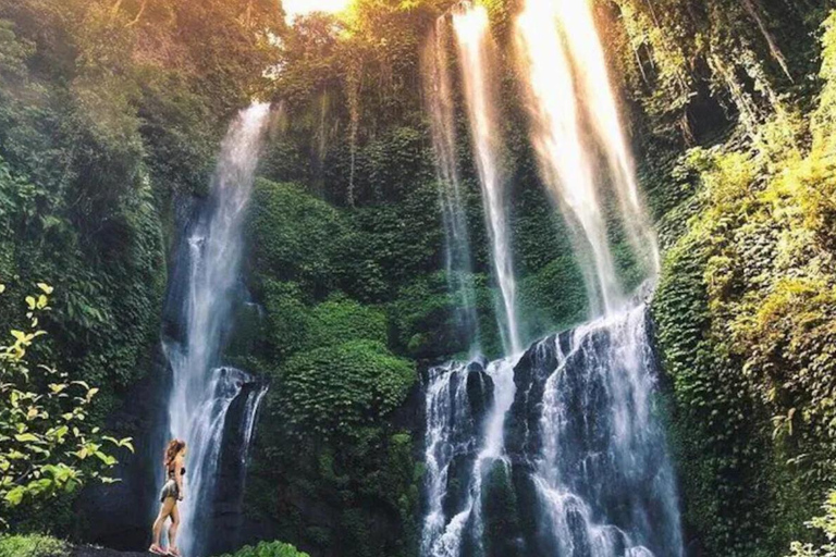 Bali: Lovina Dolphin Watching, Sekumpul Waterfall & Lunch Lovina Dolphin Watching, Sekumpul Waterfall & Lunch