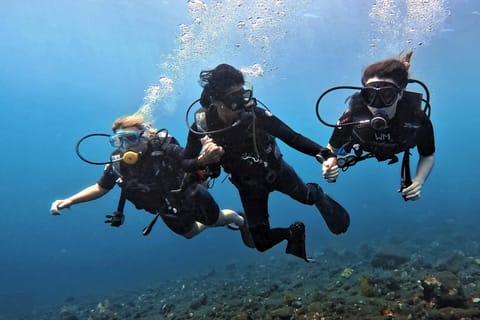 Discover Scuba Diving in Amed Bali