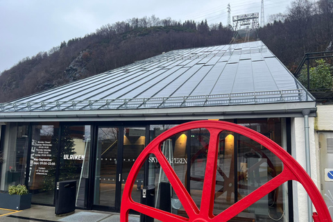 Stavanger: Tour guidato del Monte Ulriken e dell&#039;Acquario di Bergen