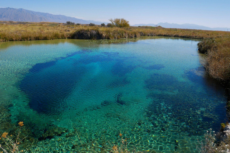 From Monterrey: Tour a Cuatro Ciénegas one day tour