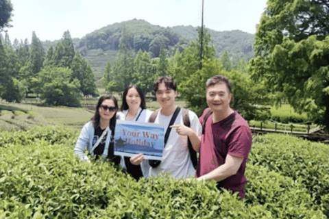 Hangzhou: West Lake Cruise, Tea Village, & Robot Town Tour Hangzhou Classic & Tech Tour: Highlights - (No Lunch)
