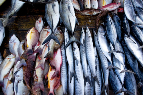 Negombo: Private City Tour with Ayurvedic Massage & Lunch