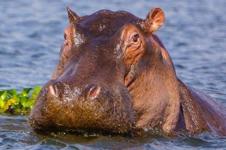 Excursión de 2 días al Lago Nakuru, la Puerta del Infierno y el Lago Naivasha