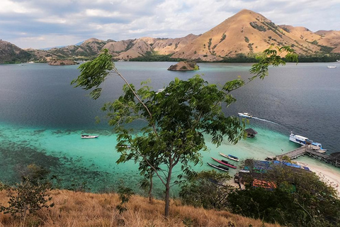 Komodo Island Tour med privat båt