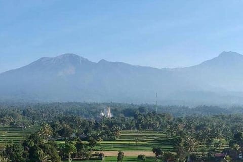 Lombok: Tetebatu Village and Rice Fields Guided Tour