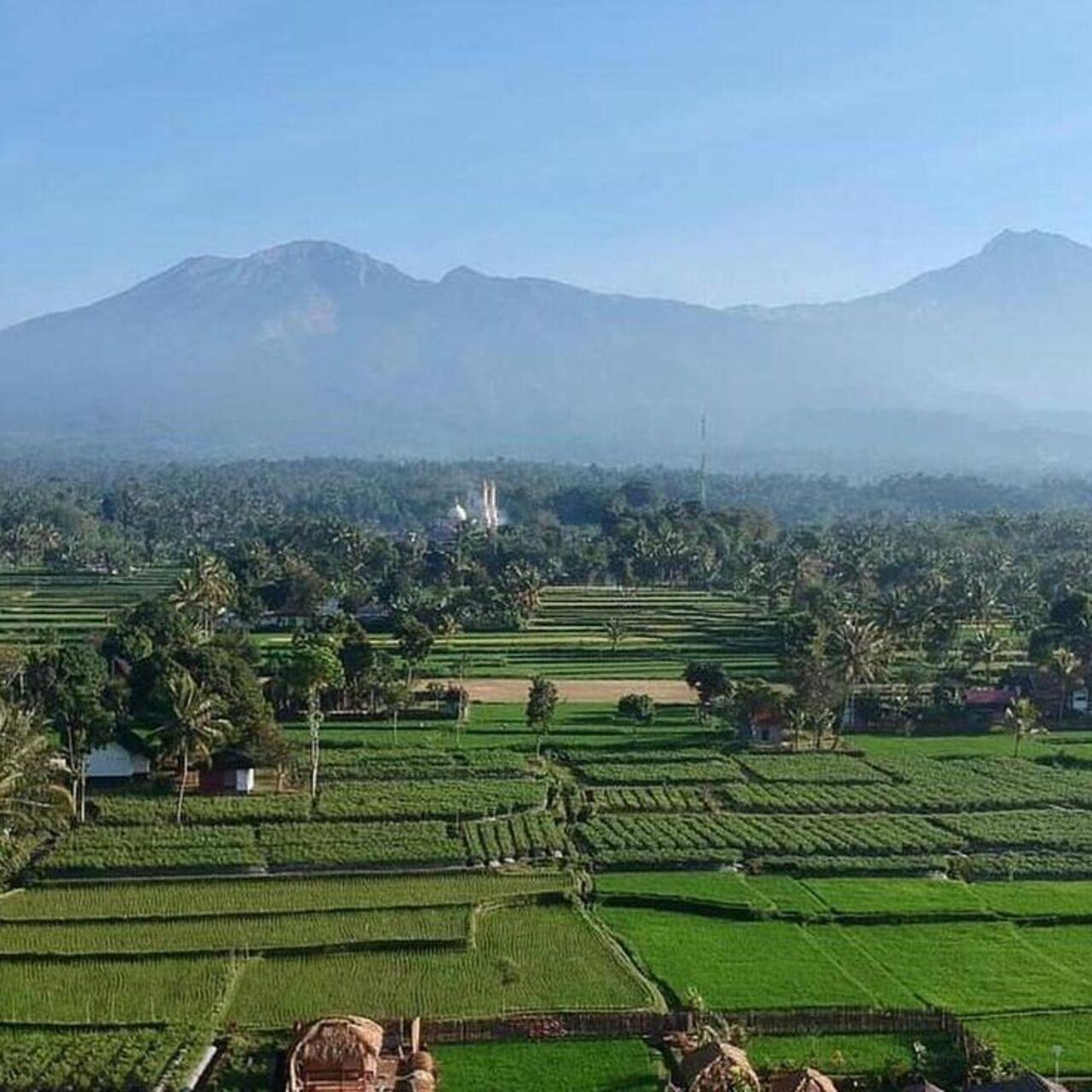 Lombok: Tetebatu-Dorf und Reisfelder mit Führung