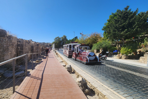 Tour a pie del Casco Antiguo en grupo reducido con el Templo de Apolo