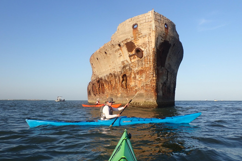 SS Selma Concreate Shipwreck | Historical WWI Landmark
