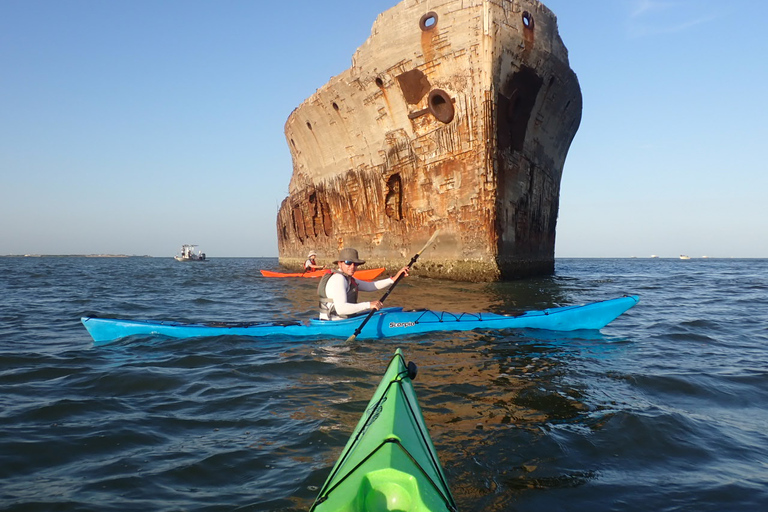 SS Selma Concreate Shipwreck | Historical WWI Landmark