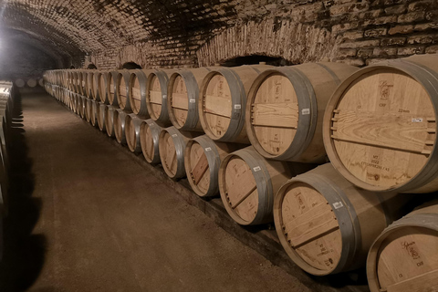 Concha y Toro Uitgebreide Tour met 7 proeverijen en Lapis Lazuli