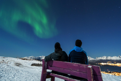 Da Tromsø: Escursione serale con le racchette da neve di Fjellheisen e funivia