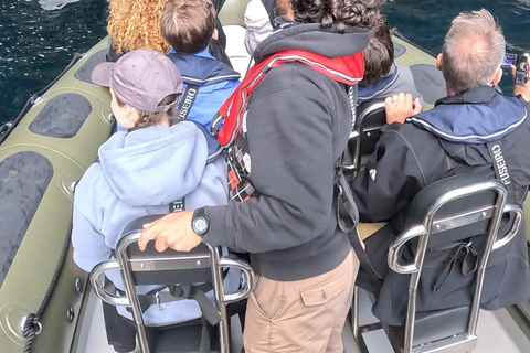 圣米格尔岛：火山奇观、洞穴与历史游船之旅