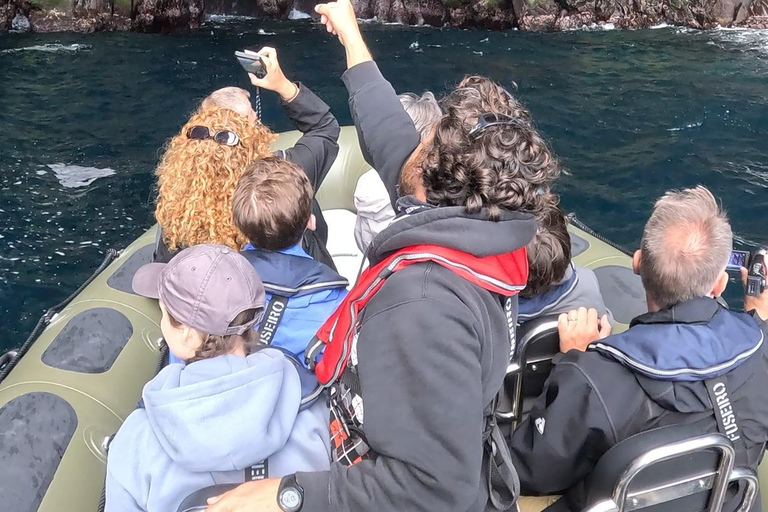 圣米格尔岛：火山奇观、洞穴与历史游船之旅