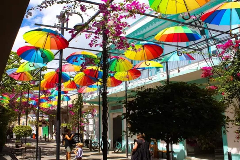 Private: City Tour with Lunch, Rum, and Chocolate