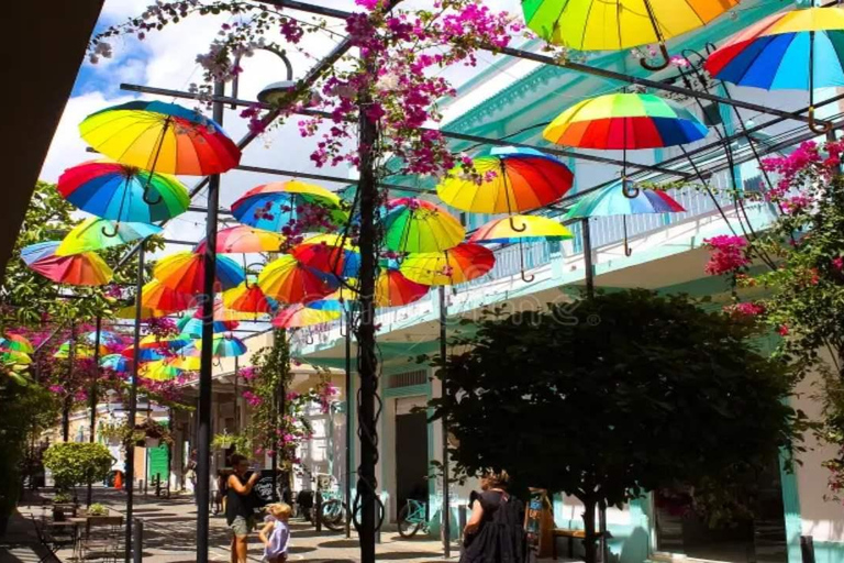 Private: City Tour with Lunch, Rum, and Chocolate