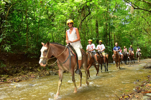 Antalya/Belek Beach & Forest Horse Riding Experience Antalya/Belek Beach Horse Riding Experience
