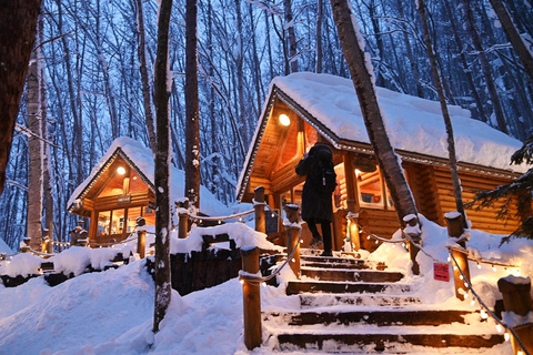 Hokkaido: Asahiyama Dierentuin, Shirahige Val, Ningle Terras Dag