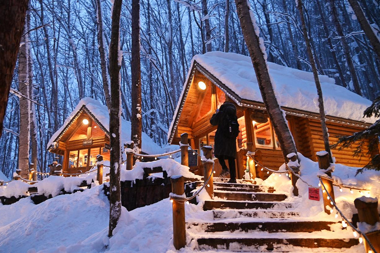 Hokkaido: Asahiyama Dierentuin, Shirahige Val, Ningle Terras Dag