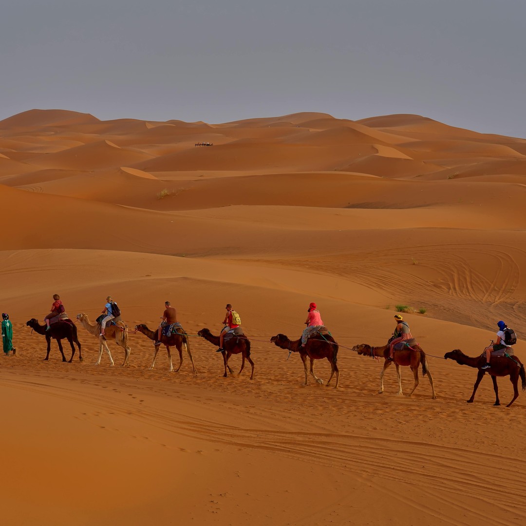 3 jours à Fès : excursion locale dans le désert vers Marrakech avec balade à dos de chameau - dromadaire