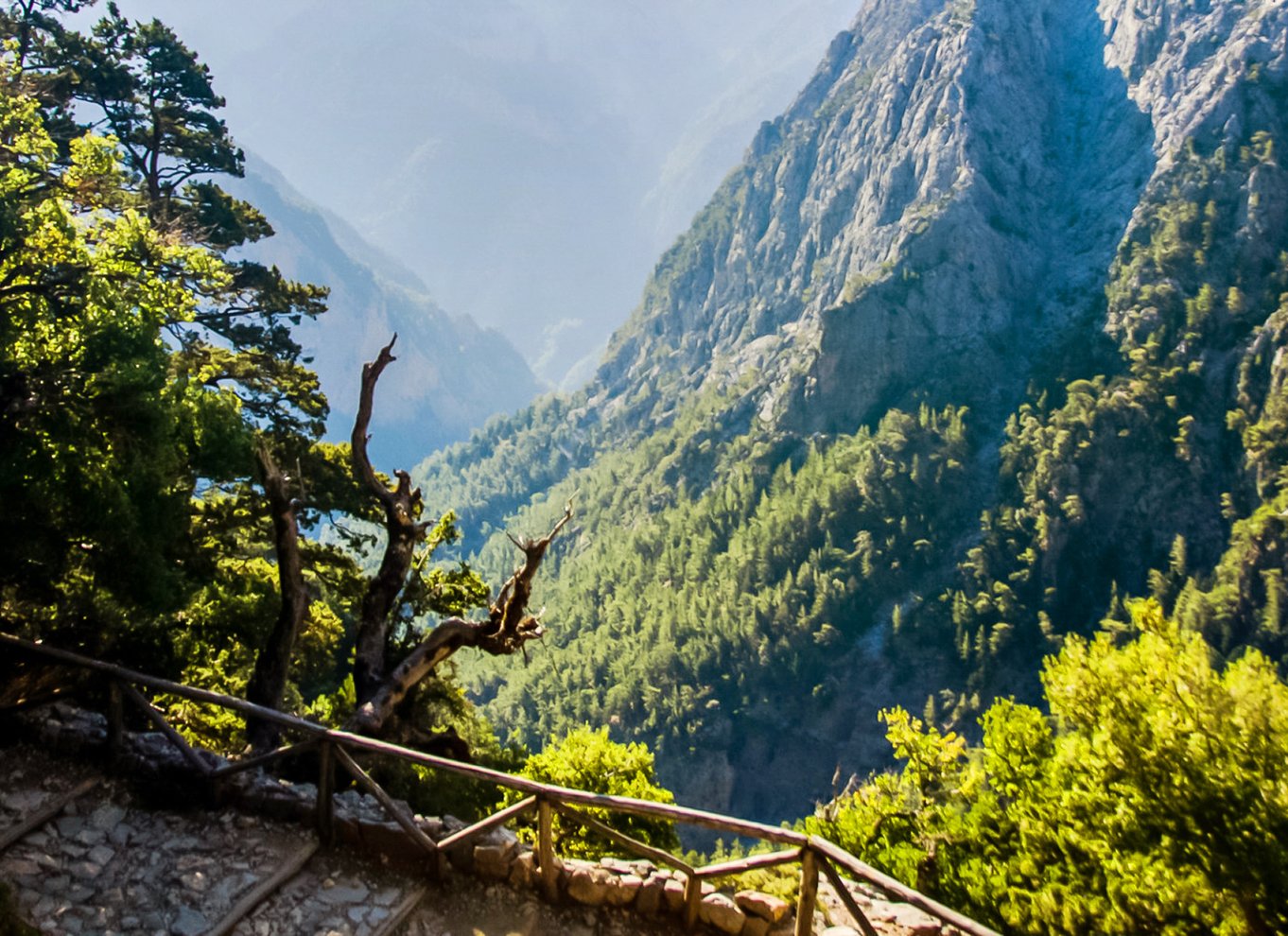 Fra Chania: Heldagsudflugt i Samaria-kløften med guide