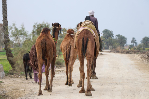Djerba: Camel Ride, Flamingos, and Lagoon Tour