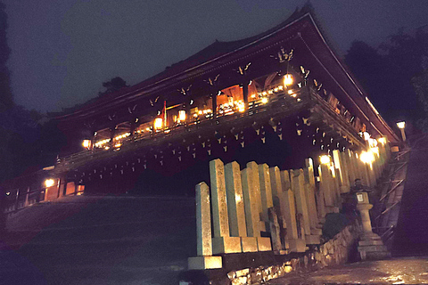 Nara: descubre la belleza atemporal en un tranquilo paseo nocturno.Nara: descubre la belleza atemporal en un tranquilo paseo nocturno