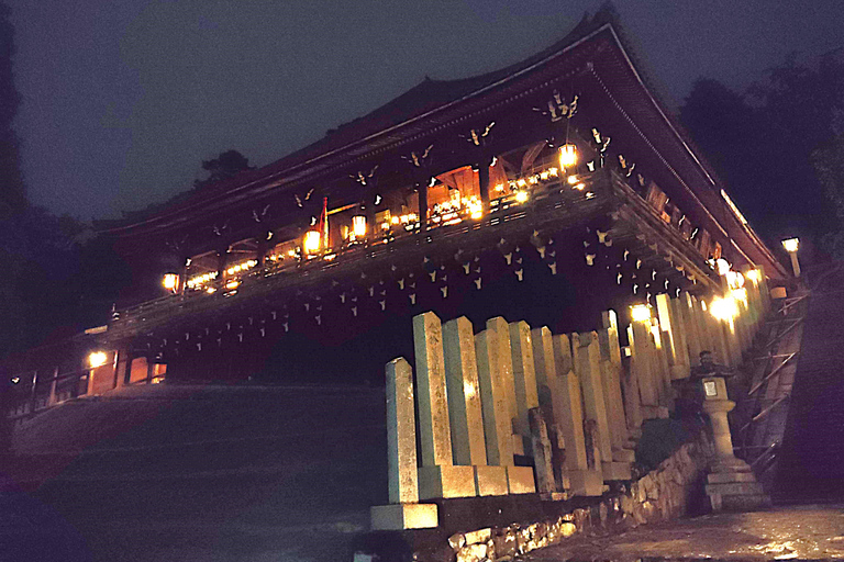 Nara: descubre la belleza atemporal en un tranquilo paseo nocturno.Nara: descubre la belleza atemporal en un tranquilo paseo nocturno