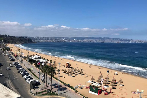 From Santiago: VIP Tour to Valparaiso, Viña del Mar, Wine, and Moai